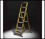 Telesteps Telescopic Fibreglass Combi Ladder 2.0m
