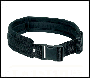 DeWalt DT8302QZ Quick Release Nylon Work Belt