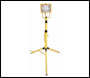 Telepod Light with Single Halogen Head (110/240 Volt)