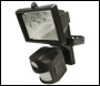  Colour 420 TVL 150W PIR Activated Floodlight & Covert CCTV Camera