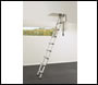 Telesteps Mini Loft Ladder - 2.4 Metre