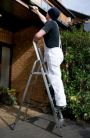 Youngman DIY 100 Aluminium Ladder