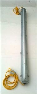 Encapsulated 5' Non-Emergency Fluorescent Light