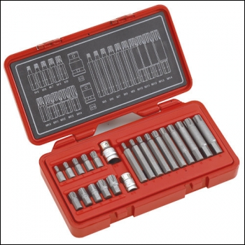 Clarke PRO168 Ribe Bit Set with 3/8 inch  and 1/2 inch  Square drive Adaptors 22 Piece
