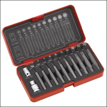 Clarke PRO183 High Torque Ribe Power Bit Set 22 Piece