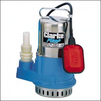 Clarke GSE1A  1 inch  H/Duty Ind Stainless Steel Pump