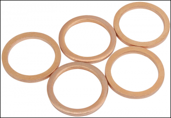 Draper SPRK-01 Spare Washer M13 for 24014 - Code: 05538 - Pack Qty 1