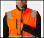 Helly Hansen Alna 4x Tech Vest - Code 74030