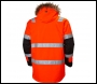 Helly Hansen Alna Winter Parka - Code 71395