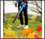 Hyundai HY2189 20V Li-Ion Cordless Leaf Blower - Battery Powered Garden Blower | HY2189