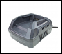 Hyundai HYCH402 40V Garden Machinery Charger