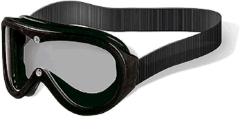 MSA Protection Goggles (each)