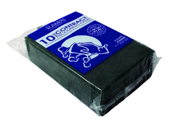 Caterer's Scourers - CJ1CS1 - Pk 10