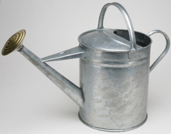 Galvanised Watering Can comes with Rose - WC2G02 - 8ltr / 2gal