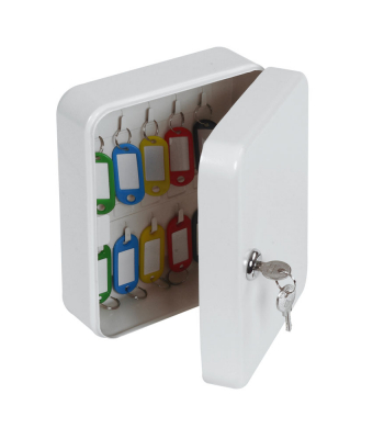 Phoenix 20 Hook Key Box KC0026K with Key Lock 