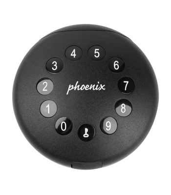 PHOENIX PALM KS0211E - Code KS0211E
