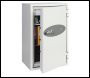 Phoenix Datacombi DS2503K Size 3 Data Safe with Key Lock