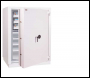 Phoenix Millennium Duplex DS4651E Size 1 Data & Grade I Security Safe with Electronic Lock