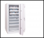 Phoenix Millennium Duplex DS4653E Size 3 Data & Grade I Security Safe with Electronic Lock