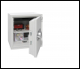 Phoenix Titan FS1304E Size 4 Fire & Security Safe with Electronic Lock