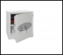 Phoenix Titan FS1304K Size 4 Fire & Security Safe with Key Lock