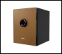 Phoenix Spectrum Plus LS6011FG Size 1 Luxury Fire Safe with Gold Door Panel and Fingerprint Lock