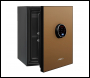 Phoenix Spectrum Plus LS6011FG Size 1 Luxury Fire Safe with Gold Door Panel and Fingerprint Lock