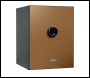 Phoenix Spectrum Plus LS6012FG Size 2 Luxury Fire Safe with Gold Door Panel and Fingerprint Lock