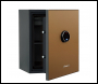 Phoenix Spectrum Plus LS6012FG Size 2 Luxury Fire Safe with Gold Door Panel and Fingerprint Lock