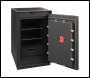 Phoenix Palladium LS8001EFG Luxury Fire Safe Size 1 Gold Metal Door with Touch Panel Keypad & Fingerprint Lock