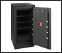 Phoenix Palladium LS8002EFB Luxury Fire Safe Size 1 Black Metal Door with Touch Panel Keypad & Fingerprint Lock