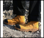 Rock Fall RF610 Honeystone Waterproof Boa Safety Boot - Code RF610