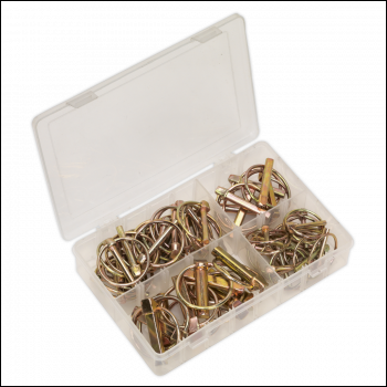 Sealey AB022LP Linch Pin Assortment 50pc
