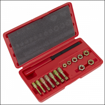 Sealey AK310 Re-Threader Kit 15pc