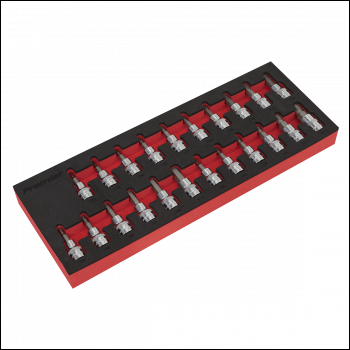 Sealey AK6243 Premier TRX-Star*/Hex/Spline Socket Bit Set 3/8 inch Sq Drive 22pc