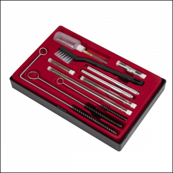 Sealey BSGC5 Spray Gun Cleaning Set 22pc