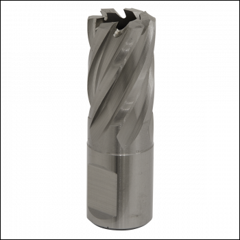 Sealey RBHSS19S Worksafe® 19mm HSS Mag Drill Bit Cut Depth 25mm
