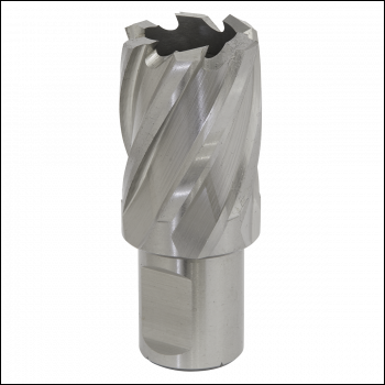 Sealey RBHSS25S Worksafe® 25mm HSS Mag Drill Bit Cut Depth 25mm