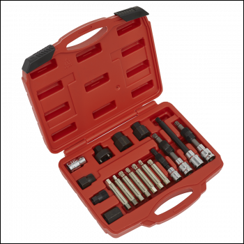 Sealey SX402 Alternator Freewheel Pulley Removal Set 18pc