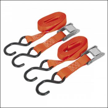 Sealey TD2525CS Cam Buckle Strap Polyester Webbing with S-Hooks 25mm x 2.5m 250kg Breaking Strength