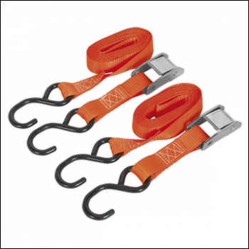 Sealey TD2525CS Cam Buckle Strap 25mm x 2.5m Polyester Webbing with S-Hooks 250kg Breaking Strength