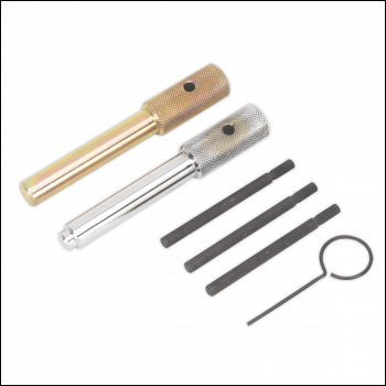 Sealey VSE5842 Diesel Engine Timing Tool Kit - for Ford, Fiat, JLR, LDV, PSA 2.0D/2.2D/2.4D/3.2D - Chain Drive