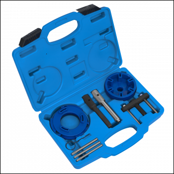 Sealey VSE6940 Timing Tool & Fuel Injection Pump Kit - Ford, PSA, LDV