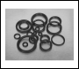 Sealey AB004OR Rubber O-Ring Assortment 225pc