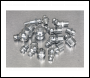 Sealey AB009GN Metric/BSP/UNF Grease Nipple Assortment 130pc