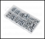 Sealey AB009GN Metric/BSP/UNF Grease Nipple Assortment 130pc