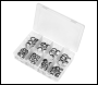 Sealey AB010DS Bonded Seal (Dowty Seal) Assortment 88pc
