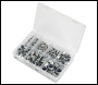Sealey AB033LN Nylon Locknut Assortment M4-M16 255pc