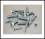 Sealey AB048SS High Tensile Setscrew Assortment M5-M10 150pc