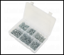 Sealey AB062STCS Zinc Plated Self-Tapping Countersunk Pozi Screw Assortment 510pc - DIN 7982